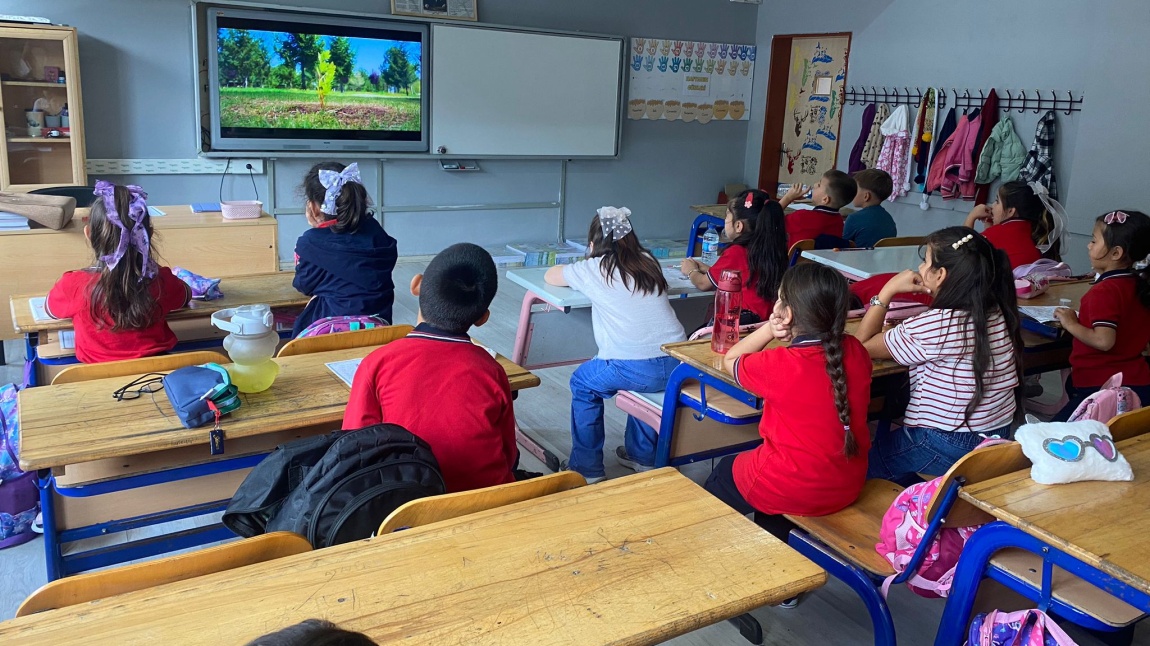 Yeşil Vatan - Benim Okulum Geleceğe Çare